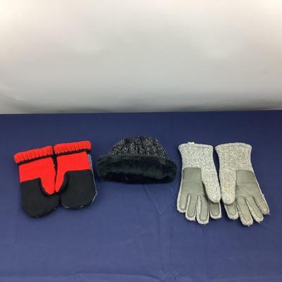 789 Winter Weather Lot North Face Hat