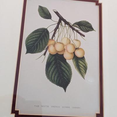 2nd Set of Bamboo Framed Fruit Prints