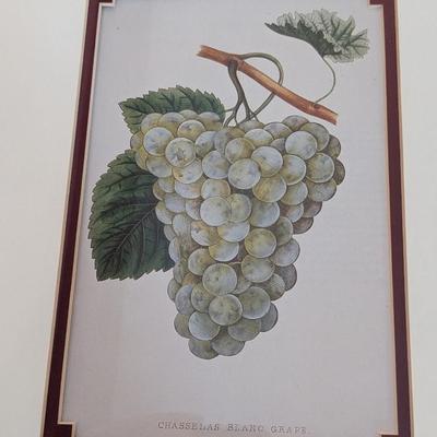 2nd Set of Bamboo Framed Fruit Prints