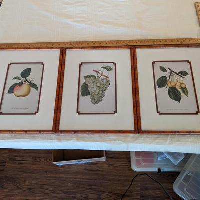 2nd Set of Bamboo Framed Fruit Prints