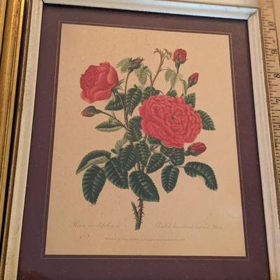 Set of 3 Vtg Flower Prints