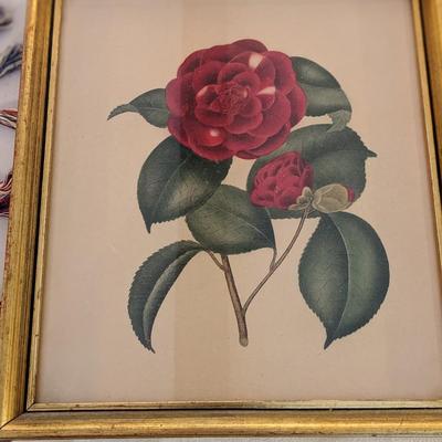 Set of 3 Vtg Flower Prints