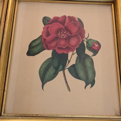 Set of 3 Vtg Flower Prints