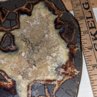 Large, Rare Septarian Geode