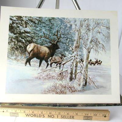 Lot 643:  Nice Elk USA Litho, Older Print