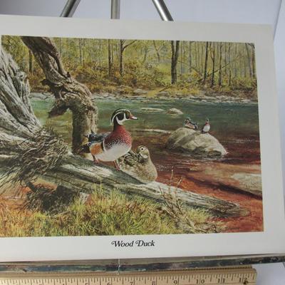 Lot 644:  Older USA Litho, Wood Duck