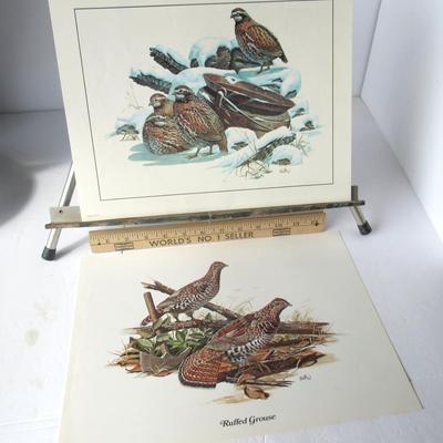 Lot 645:  Two Older USA Litho Prints, Ruffled Grouse, Partridges