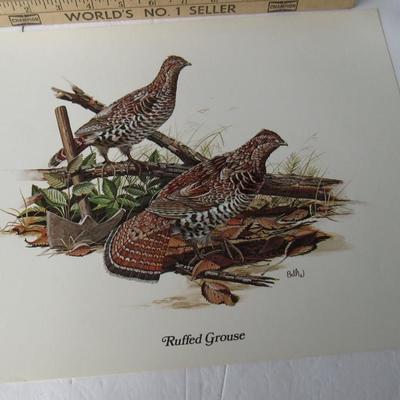 Lot 645:  Two Older USA Litho Prints, Ruffled Grouse, Partridges