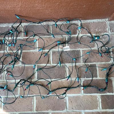Outdoor Christmas Bush/Shrub Lights