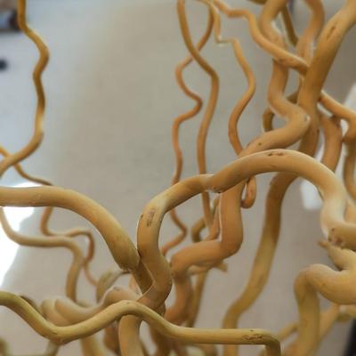 Versatile Color Large Vase of Curly Willow Branches