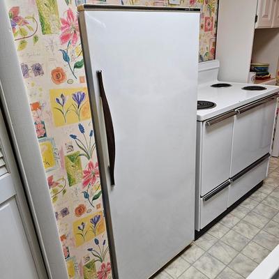 G.E. 10.6 Cubic Foot Refrigerator/Freezer  (BK-JS)