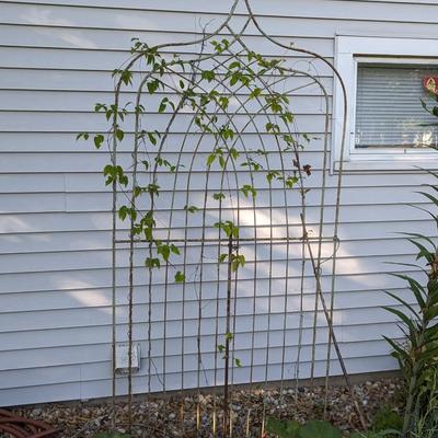 #1 Vintage Garden Trellis