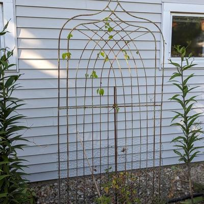 #2 Vintage Garden Trellis