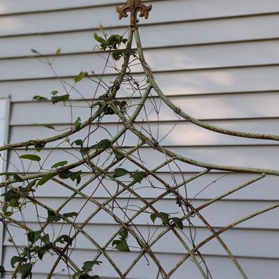 #3 Vintage Garden Trellis