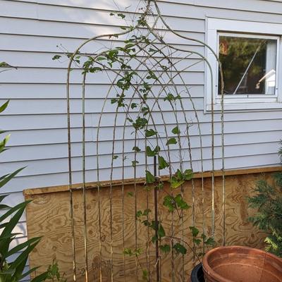 #3 Vintage Garden Trellis