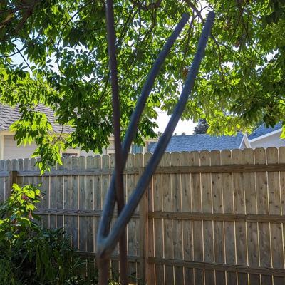 One of a Kind Wrought Iron Wind Chime