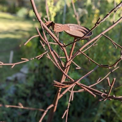 Amazing Wrought Iron Bird Bath/Feeder Tree