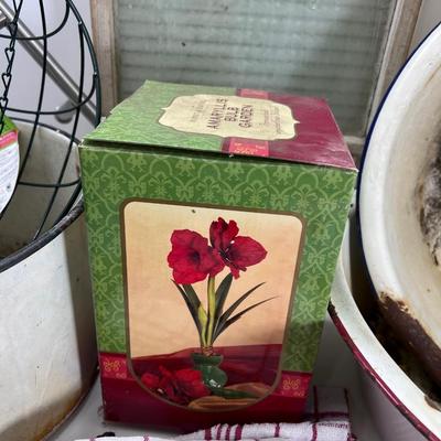 Rustic garden lot
