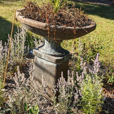 Incredible Opportunity to an Antique Bird Bath/Planter