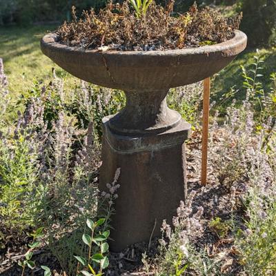 Incredible Opportunity to an Antique Bird Bath/Planter