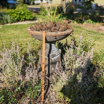 Incredible Opportunity to an Antique Bird Bath/Planter