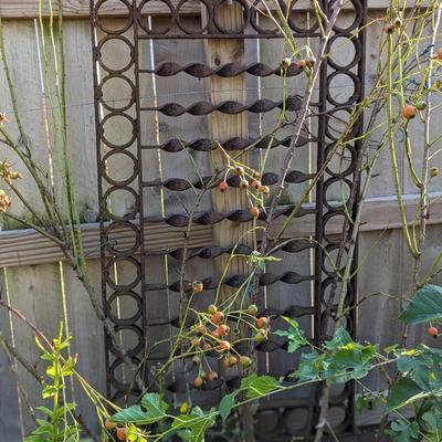Amazing Piece of Garden Iron Artwork