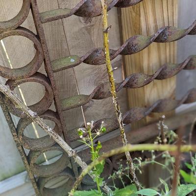 Amazing Piece of Garden Iron Artwork