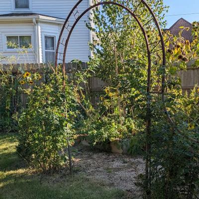 The Best Garden Item of the Auction! "Herb Garden" Iron Archway