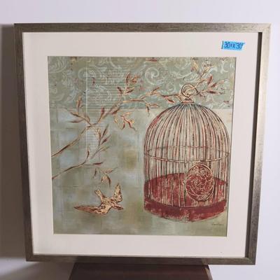 Birdcage Framed Print