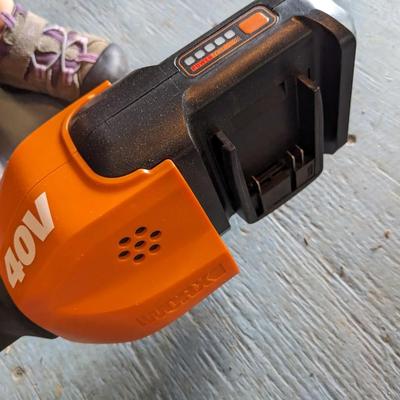 Set of 3 Battery Powered Worx Garden Tools