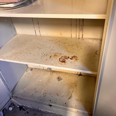 2 Metal Storage Cabinets