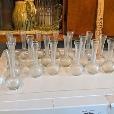 19 Glass Flower Vases
