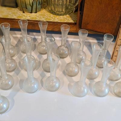 19 Glass Flower Vases
