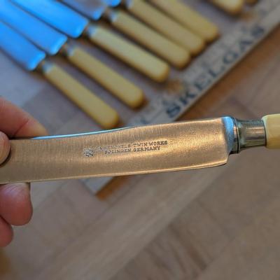 Set of 11 J.A. Henckles Twin Works Dinner Knives