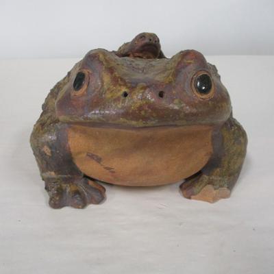 Bull Frog With Baby
