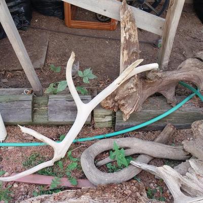 DRIFTWOOD WITH CHARACTER AND ANTLERS TOO
