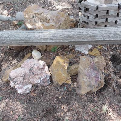 PETRIFIED WOOD AND OTHER ROCKS FOR YOUR YARD
