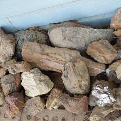PETRIFIED WOOD AND OTHER ROCKS FOR YOUR YARD