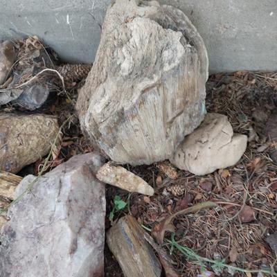NICE VARIETY OF ROCKS AND A CRYSTAL FOR YOUR YARD