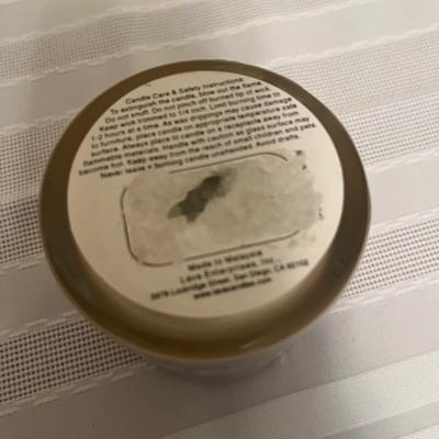 Palm Trees Galore Decor (BR1-MG)