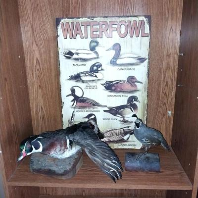WATERFOWL SIGN AND TWO TAXEDERMY BIRDS