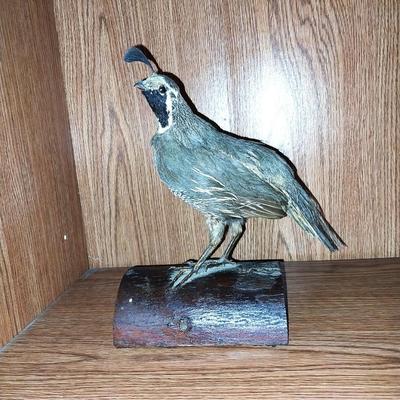 WATERFOWL SIGN AND TWO TAXEDERMY BIRDS