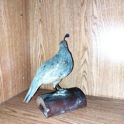 WATERFOWL SIGN AND TWO TAXEDERMY BIRDS