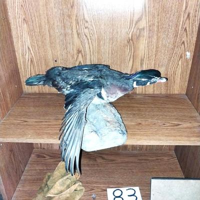 WATERFOWL SIGN AND TWO TAXEDERMY BIRDS