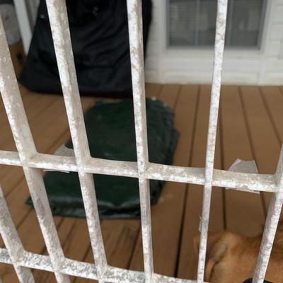 Freestanding Fence with Dog Door (FP-HS)