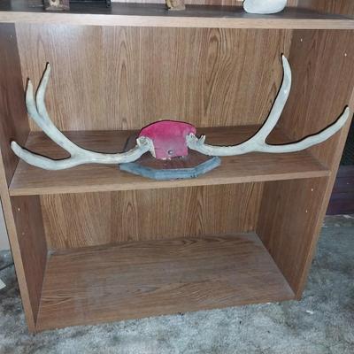 ANTLER PHOTO FRAME-SKULL AND ANTLERS