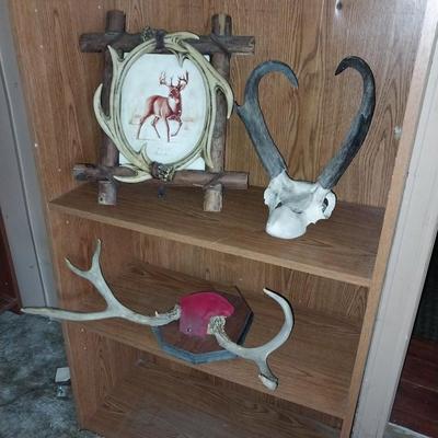 ANTLER PHOTO FRAME-SKULL AND ANTLERS