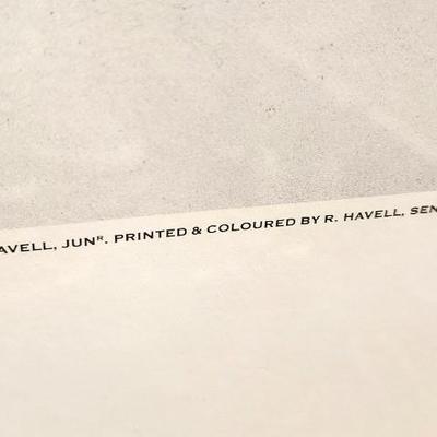 Lot #127  Vintage HAVELL print from the Audubon original - "Ruby Throated Hummingbird"
