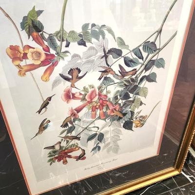 Lot #127  Vintage HAVELL print from the Audubon original - "Ruby Throated Hummingbird"