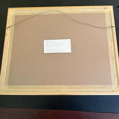 Framed & Signed Painting by Marsha Houschard (O-MG)